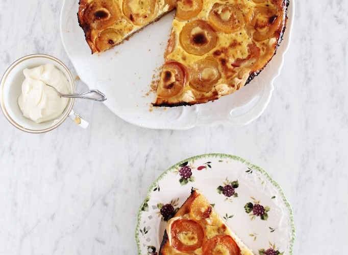 apricot-2Bsheet-2Bcake-2Bfruit-2Bpie